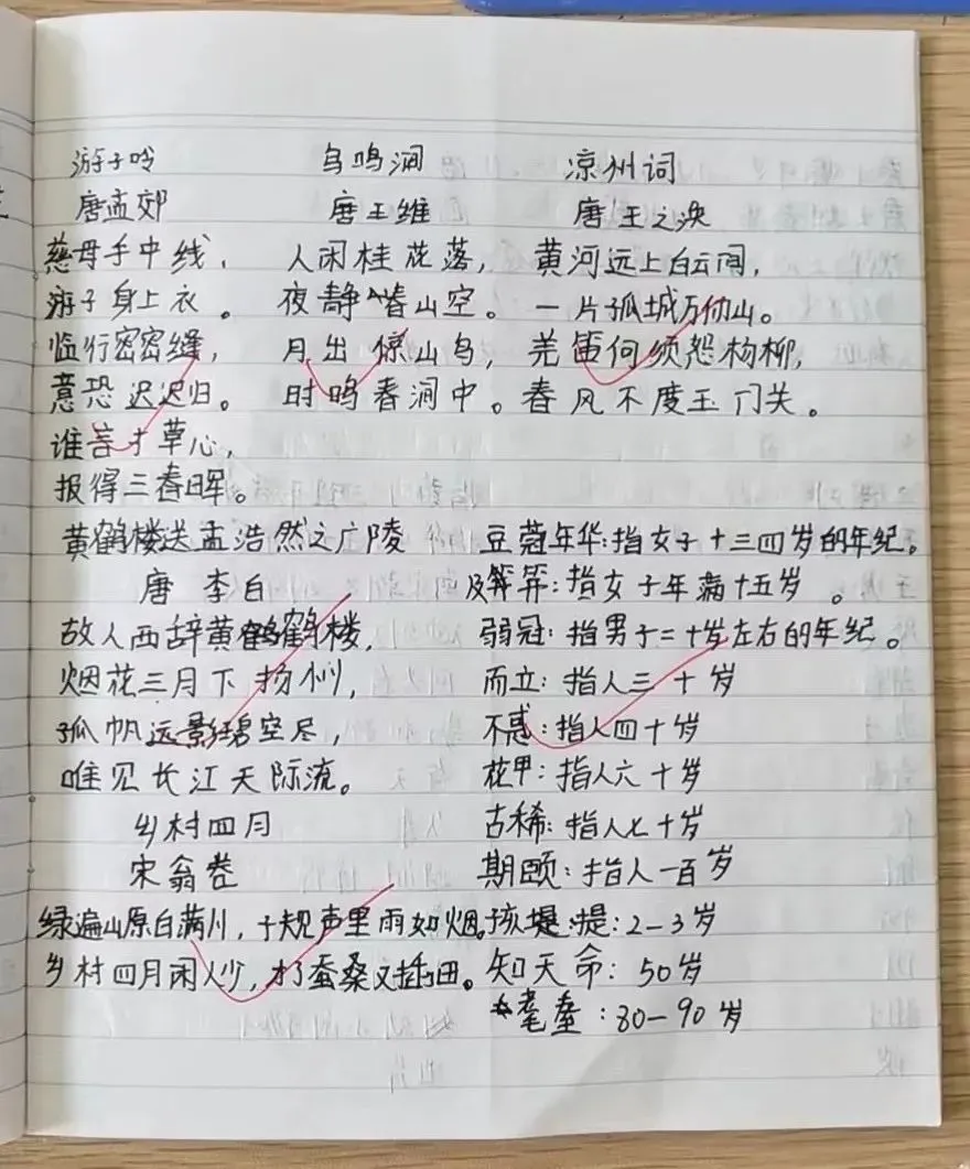 小学生篮球训练计划方案表_2